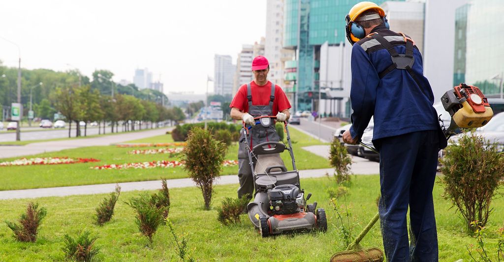 Lawn Mowing and Trimming