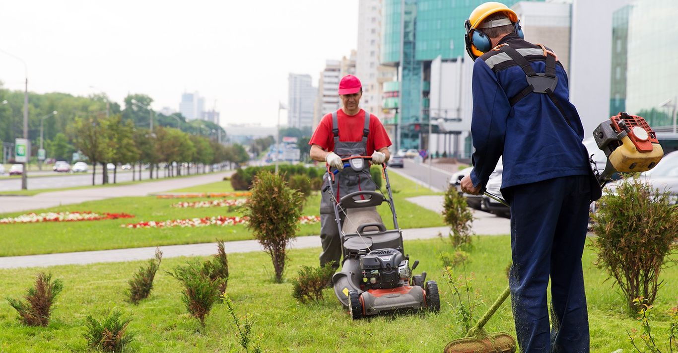 The 10 Best Lawn Care Services Near Me (with Free Estimates)