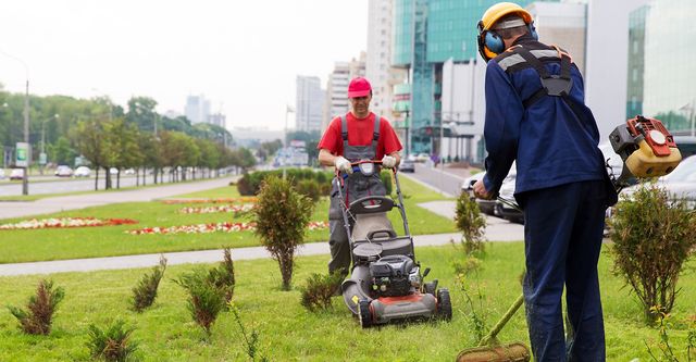 Lawn Maintenance