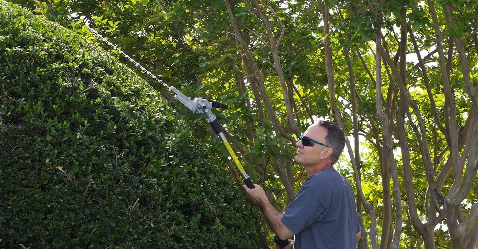 The Best Shrub Maintenance Services Near Me