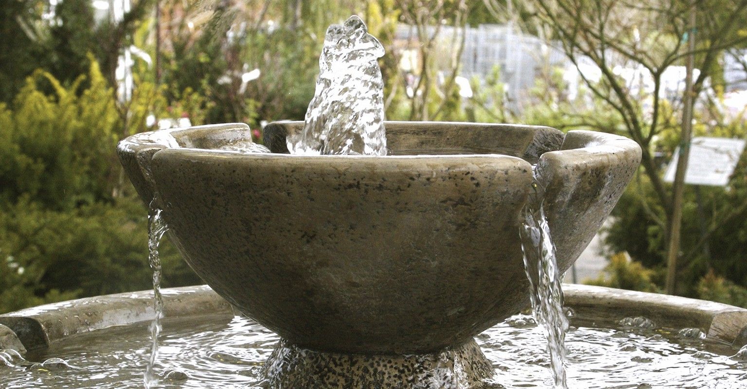 The 10 Best Aquatic Weed Control Companies Near Me