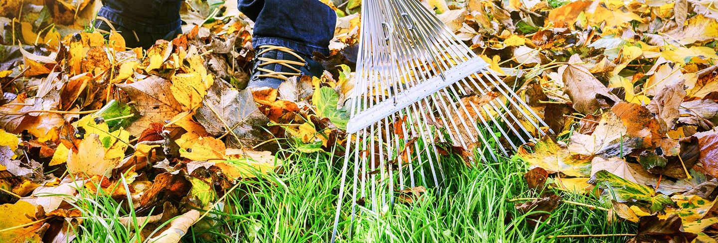 yard leaf rake