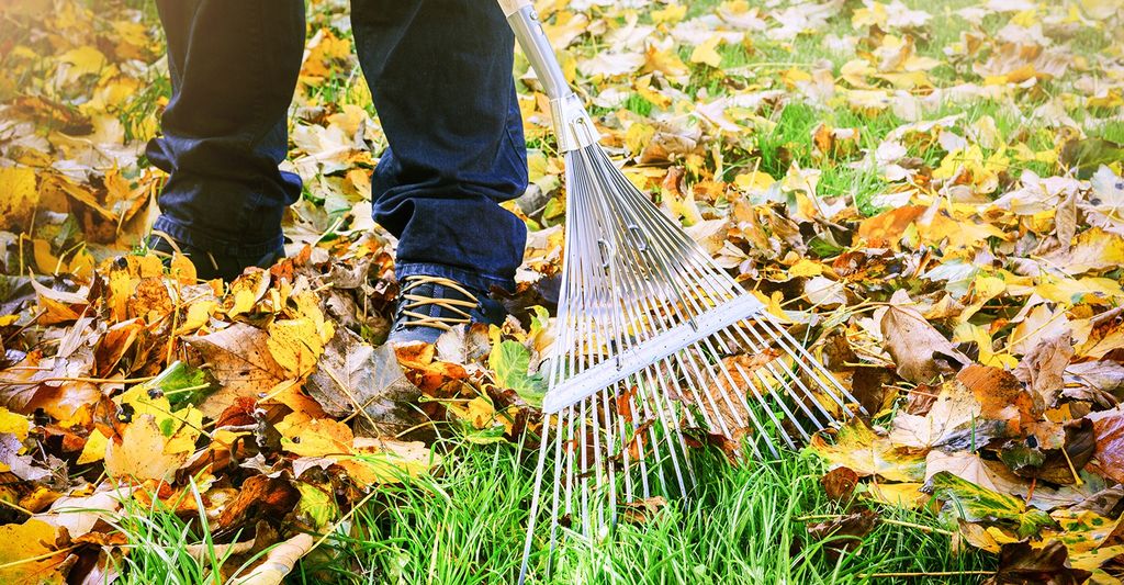 Find a leaf removal professional near Atlanta, GA