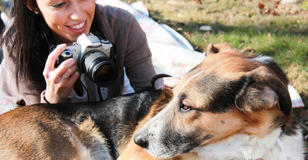 Find a dog photographer near San Mateo, CA
