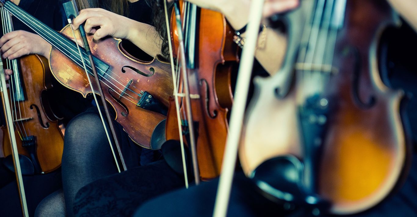 The 10 Best String Quartets Near Me (with Free Estimates)