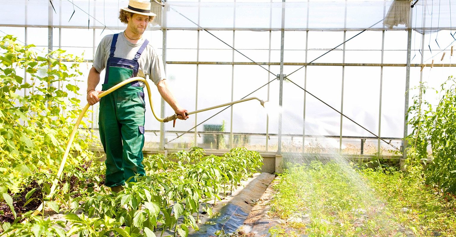 Greenhouse builders thumbtack Greenhouse builders thumbtack