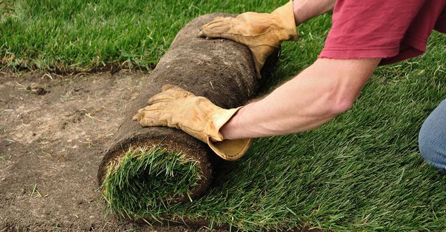 sod installation