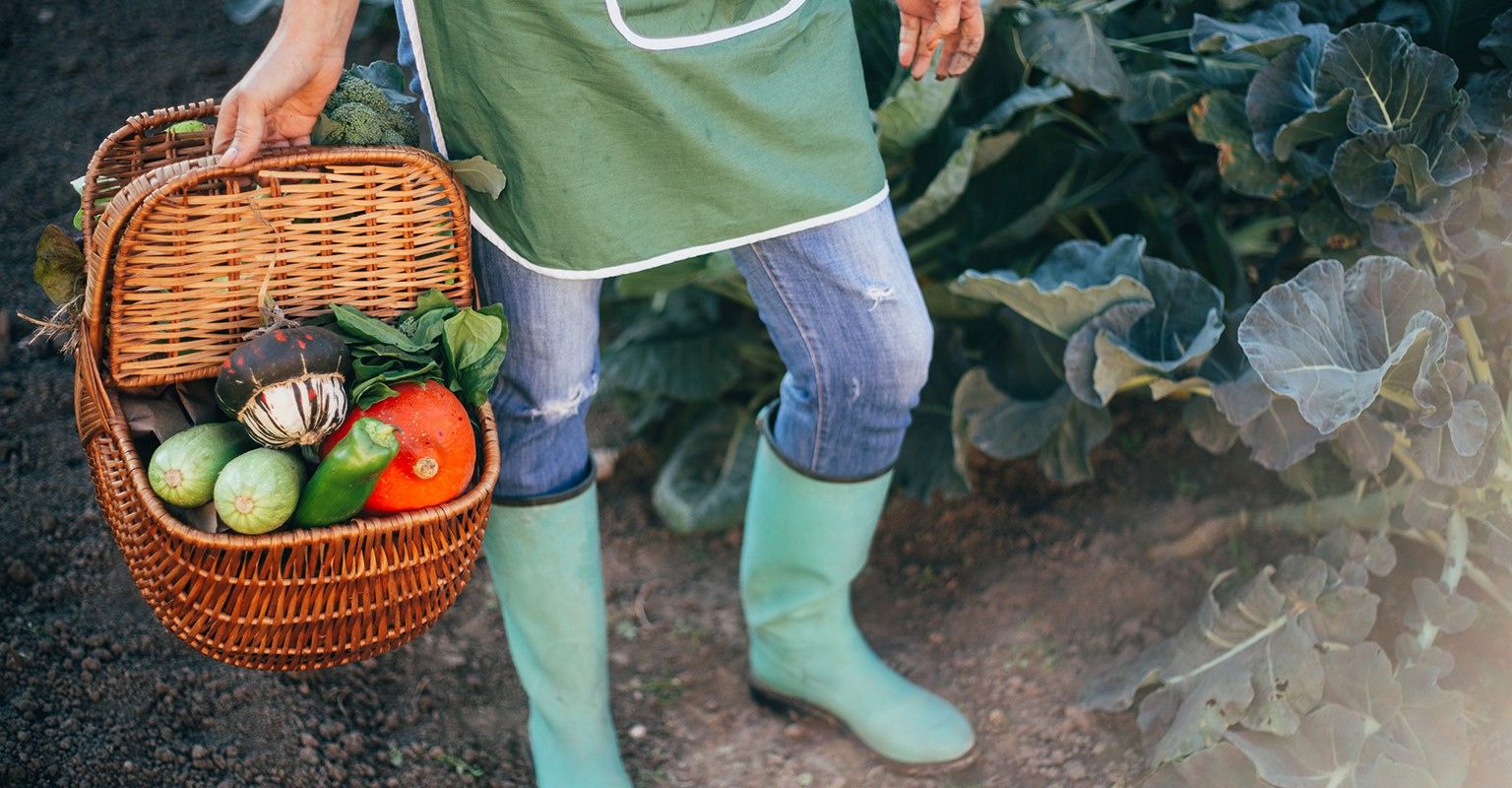 The 10 Best Garden Maintenance Services