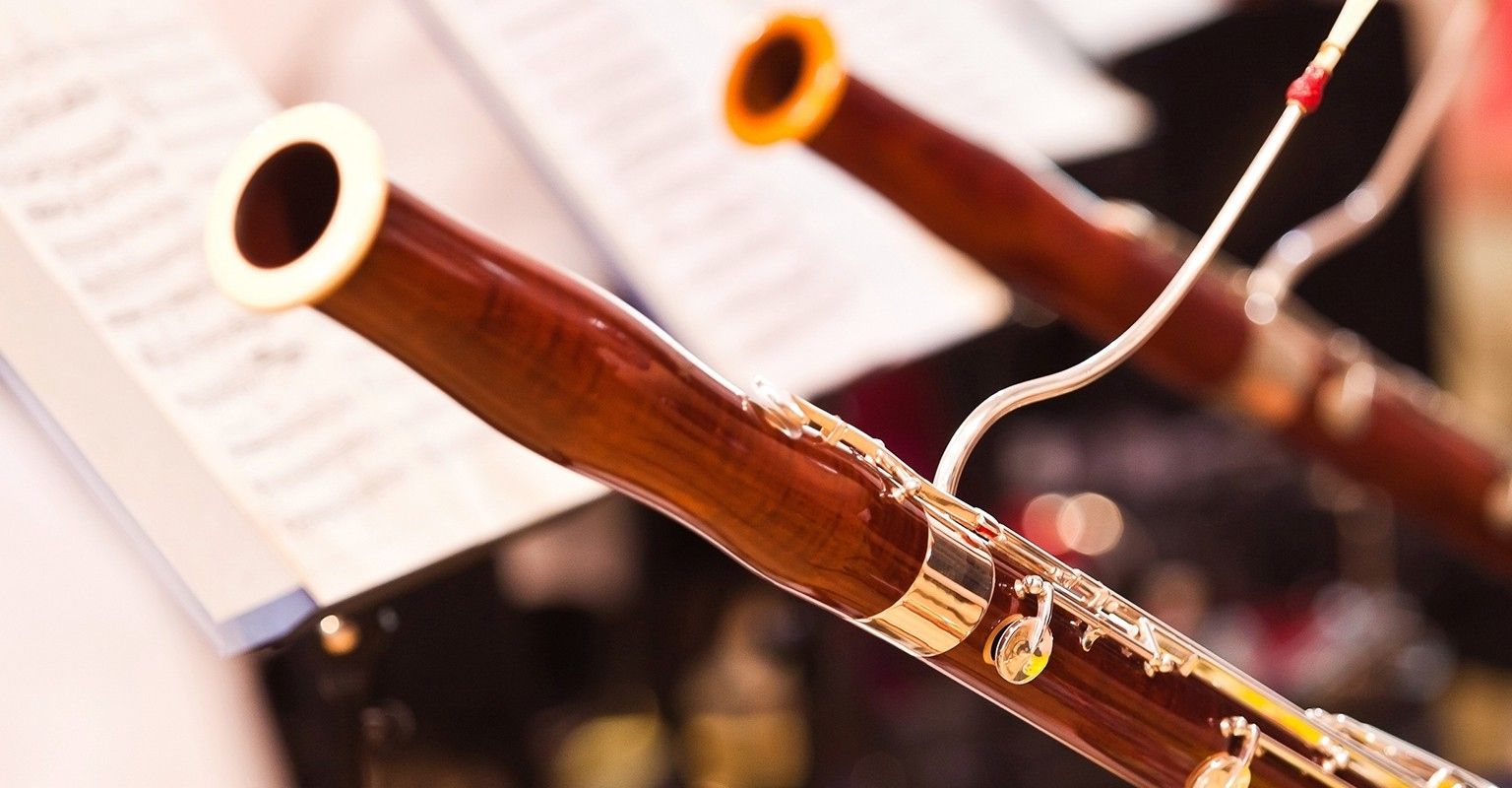 The 10 Best Bassoon Lessons Near Me With Free Estimates