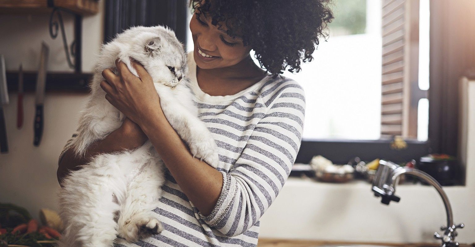 The 10 Best Cat Sitters Near Me (with Free Estimates)