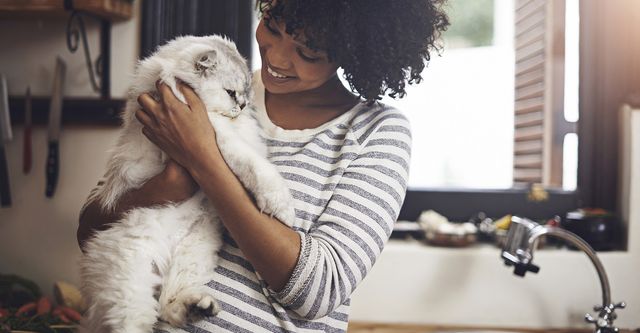 The 10 Best Cat Sitters Near Me (with 