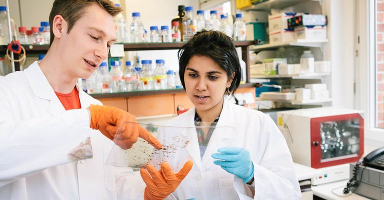 The 10 Best Biology Tutors Near Me (with Free Estimates)