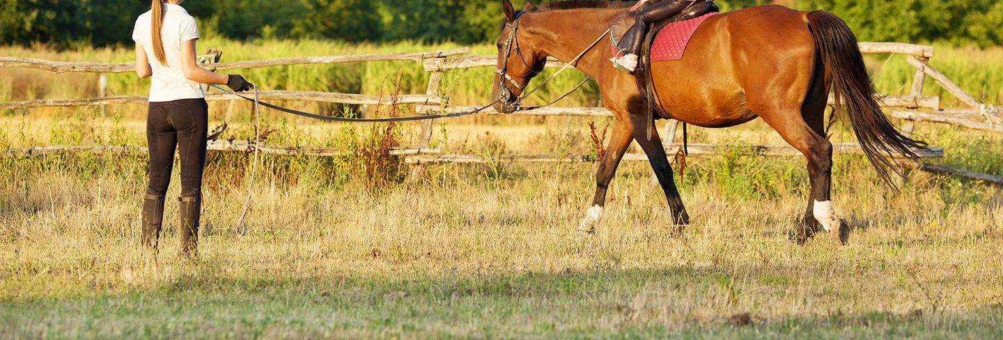 Average Horseback Riding Lessons Cost With Price Factors