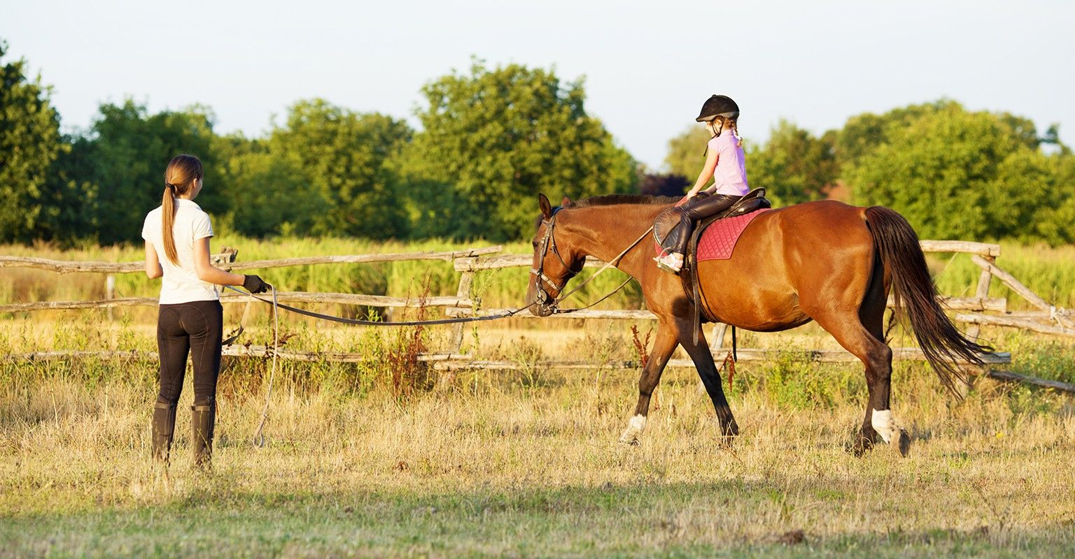 The 10 Best Horseback Riding Lessons in Mesquite, TX 2024