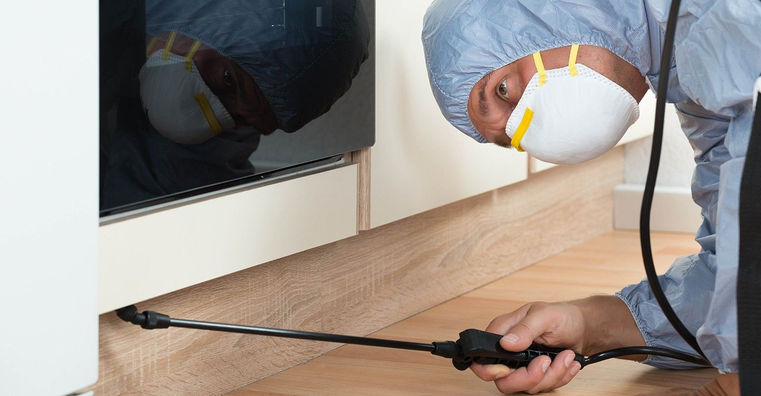 The 10 Best Bed Bug Treatments Near Me (with Free Estimates)