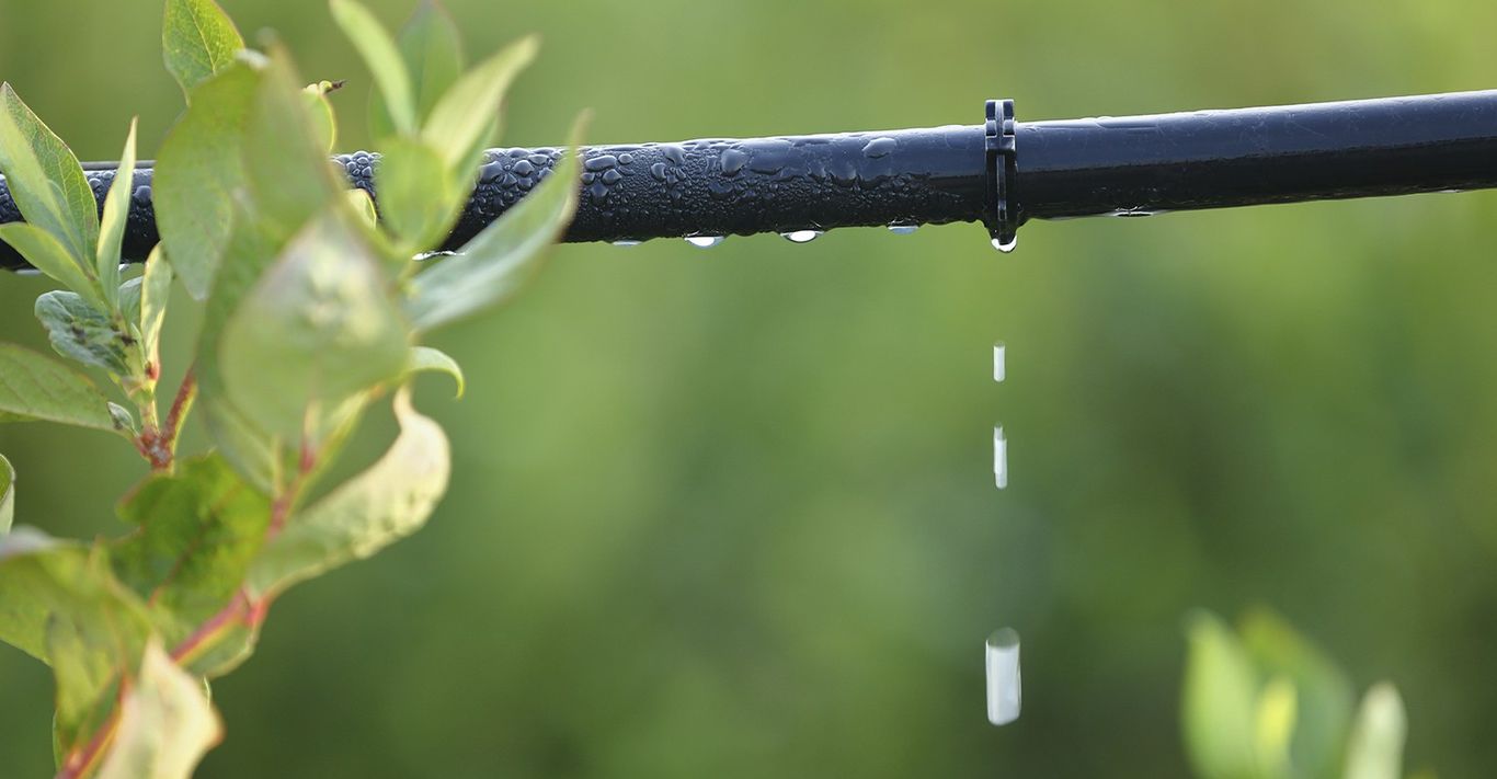 The 10 Best Drip Irrigation System Services Near Me