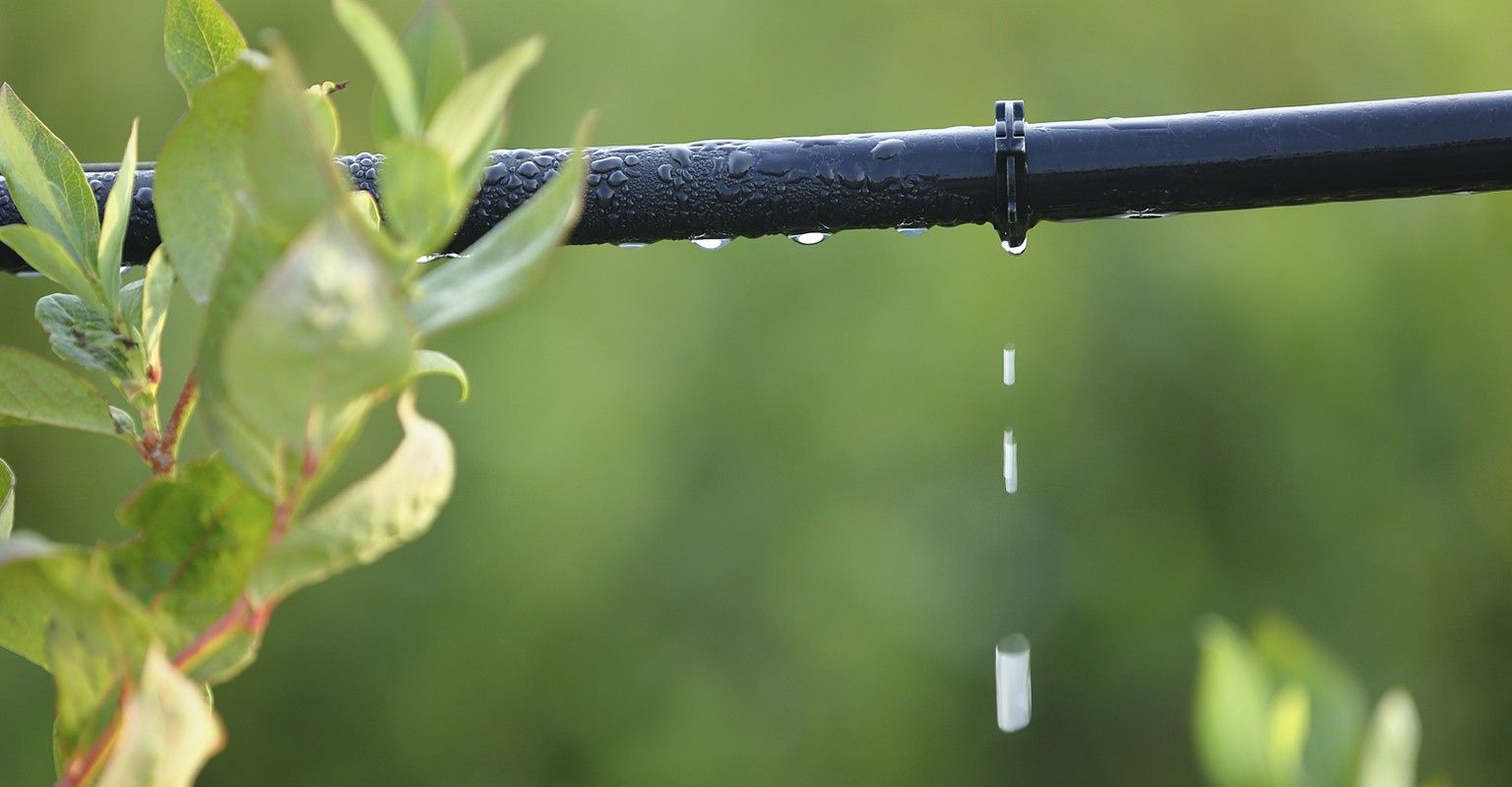 The 10 Best Drip Irrigation System Services Near Me