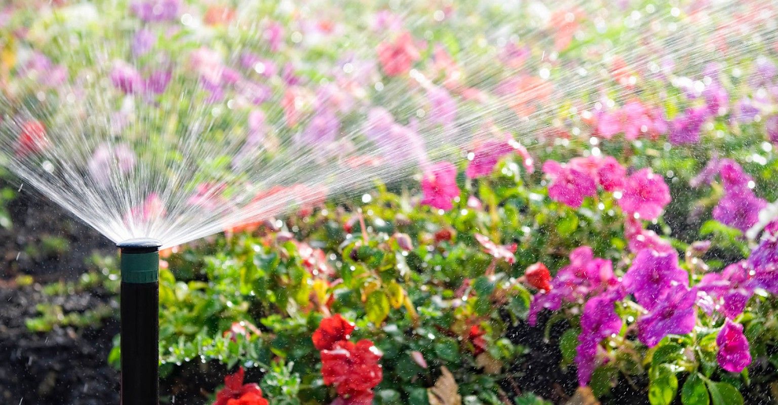 The 10 Best Sprinkler System Winterization Services Near Me