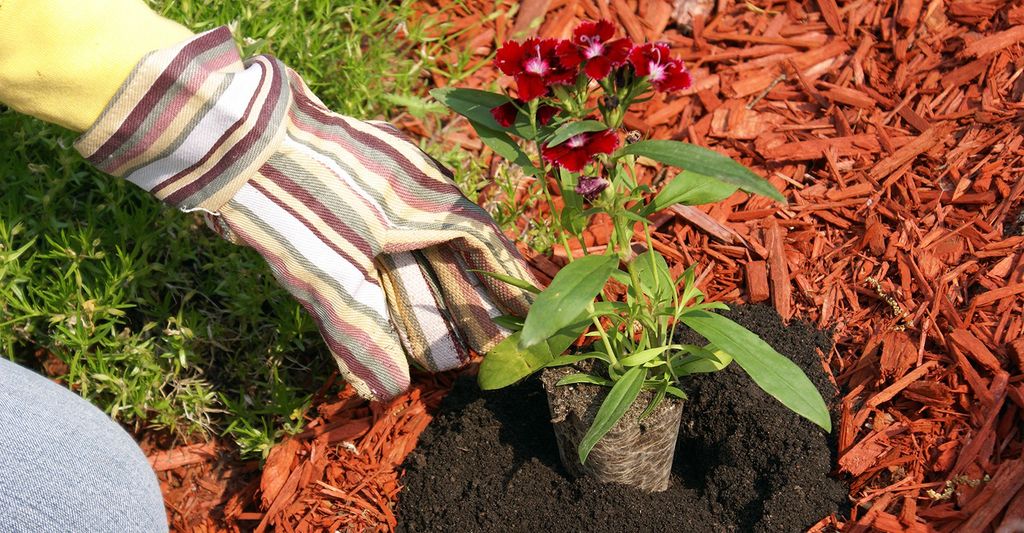 Find a Lawn Mulching Professional in your area