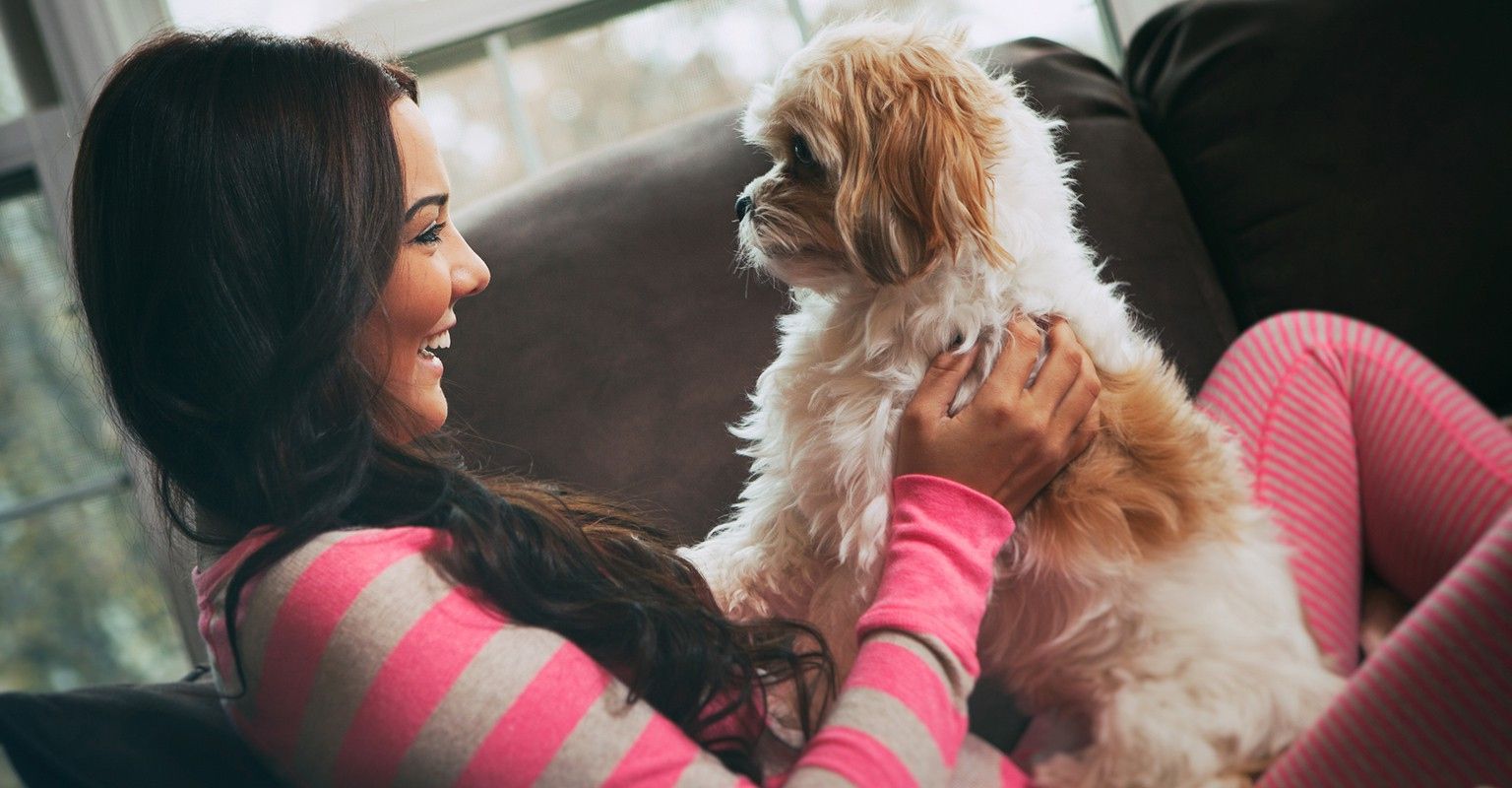 The 10 Best Professional Pet Sitters Near Me (with Free Estimates)