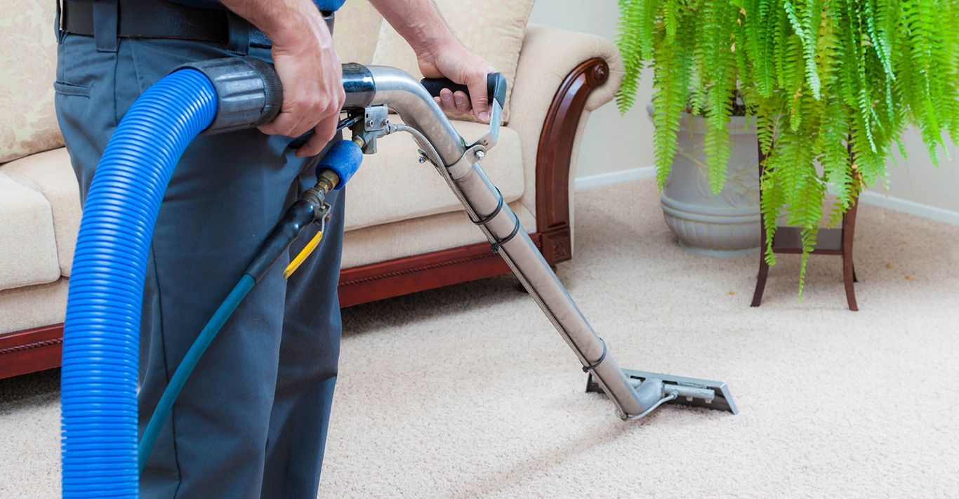 The 10 Best Chem Dry Carpet Cleaners Near Me (with Free ...