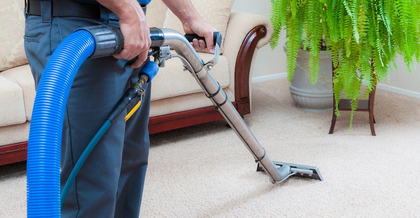 Best Carpet Cleaning Near Me Top Rated Services