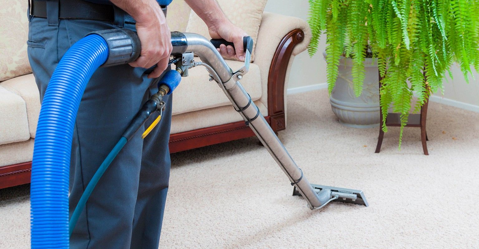 the-10-best-local-carpet-cleaners-near-me-with-free-estimates