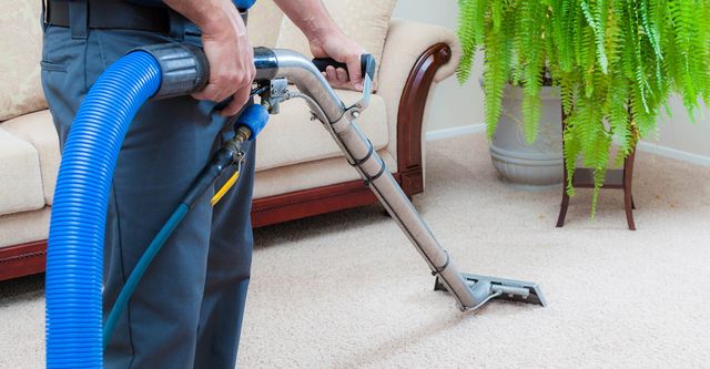 We Offer Professional Carpet Cleaning Services