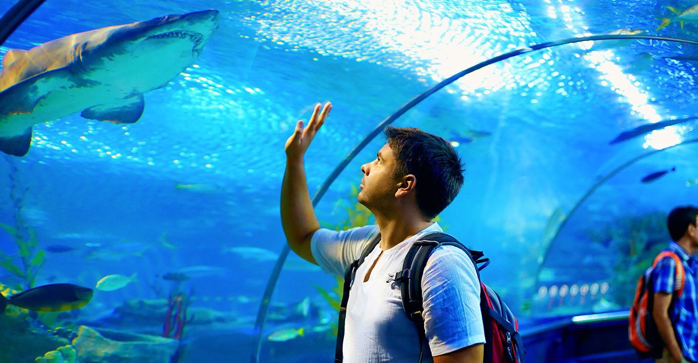 The 10 Best Aquarium Professionals in Temecula, CA 2024