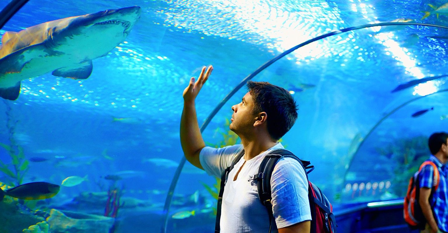 The 10 Best Aquarium Professionals in Philadelphia, PA 2024