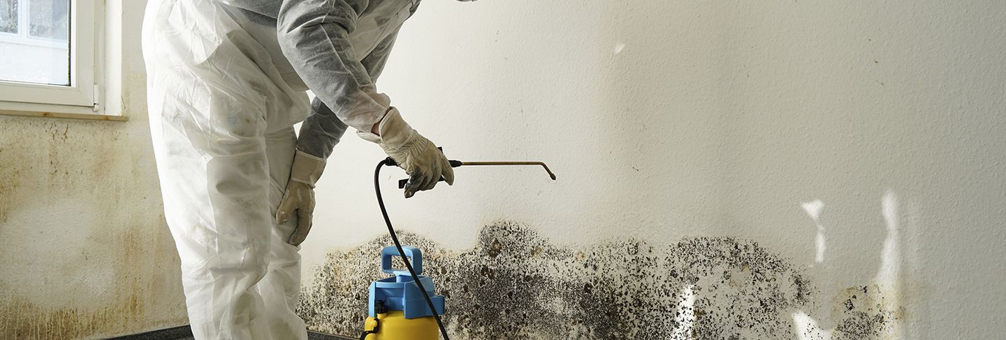 NC Mold Removal Greensboro