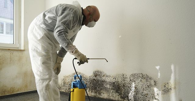 mold remediation decatur ga