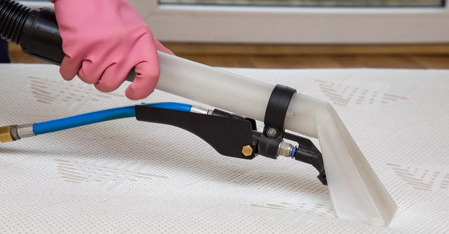 Find an odor removal professional in your area