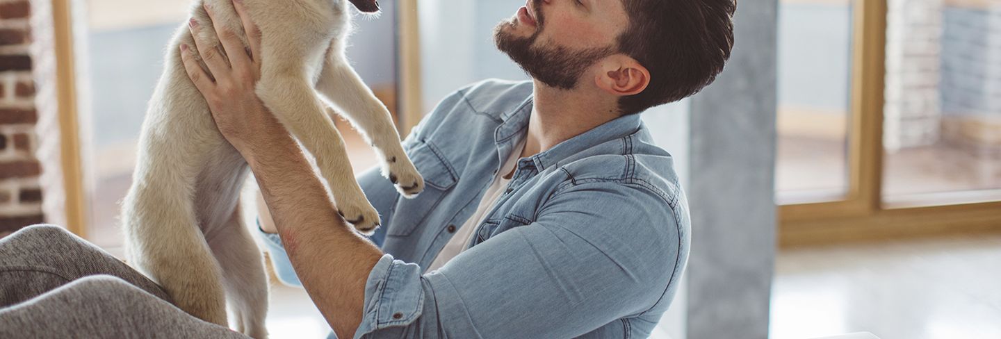 The 10 Best In-Home Dog Sitters Near Me (with Free Estimates)