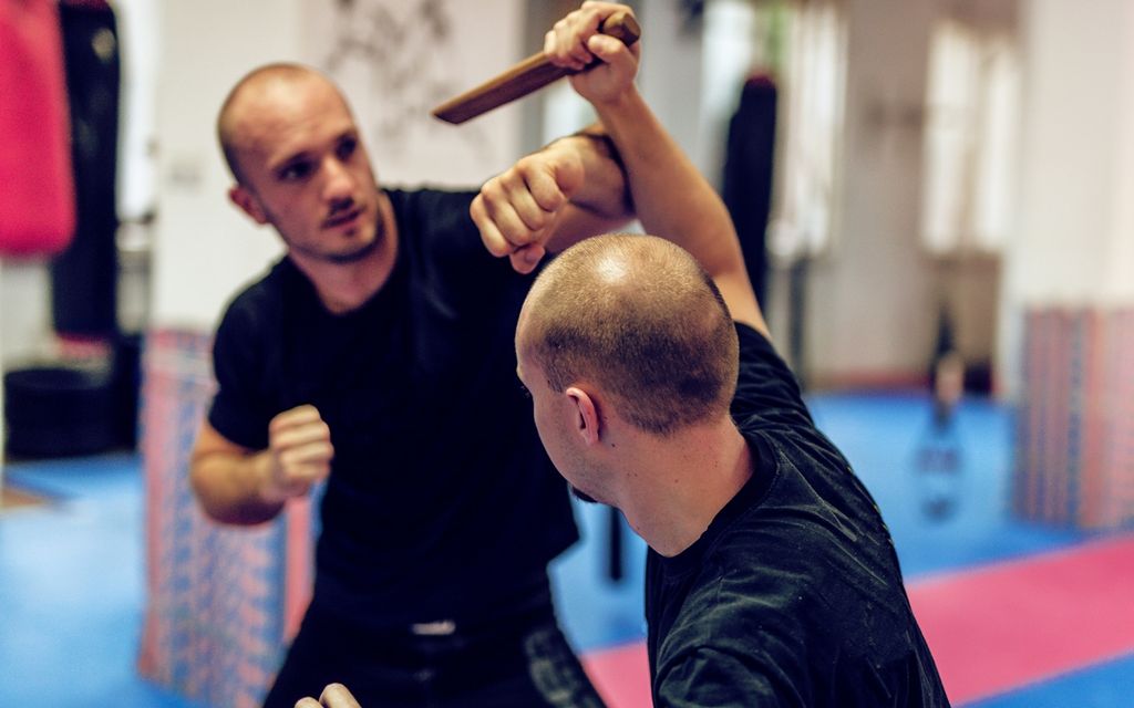 Self defense lessons prices