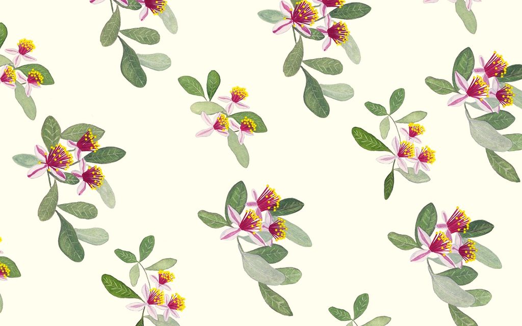 Find a wallpaper installer in your area