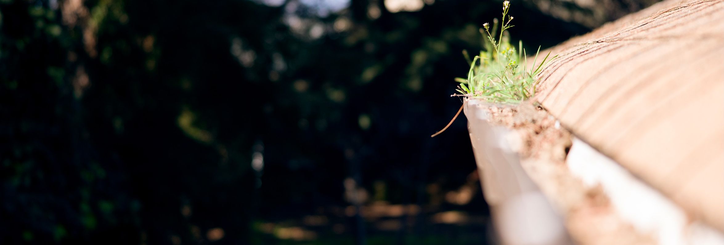 The 10 Best Gutter Cleaners in Honolulu, HI (with Free Estimates)
