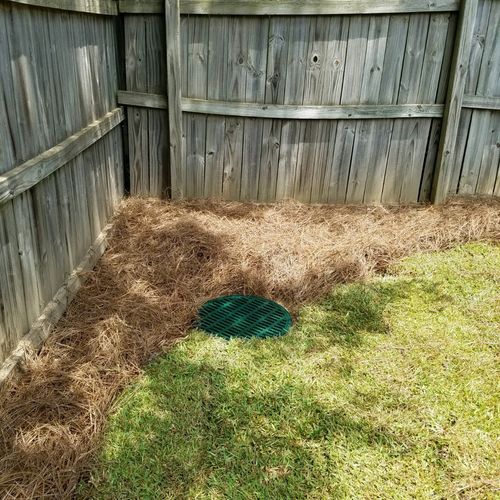 Drain and sod installation 