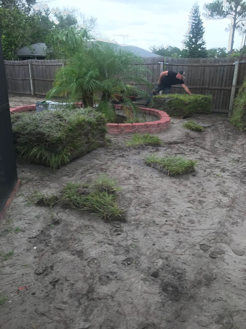 5 pallets of sod #2