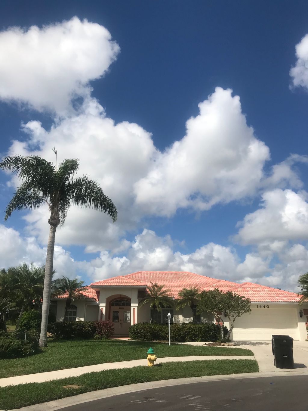 Lawn Maintenance and Tree Trimming 