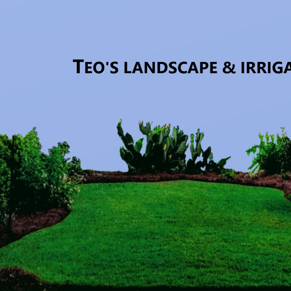 Teo's Landscape & Irrigation Services LLC