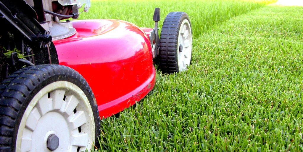 Lawn Maintenance