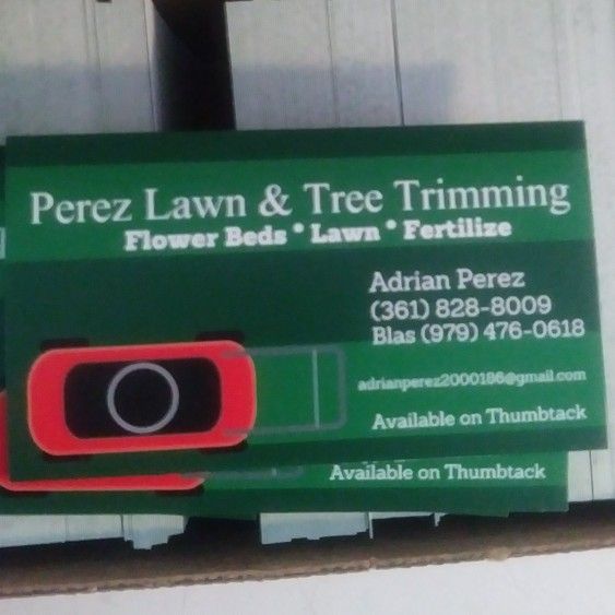 Perez Lawn &Tree, Fencing and handy man services