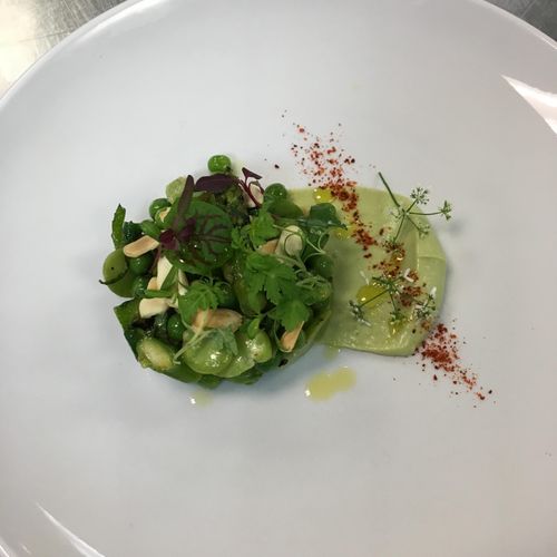 Composed Spring Salad for a Tasting Menu