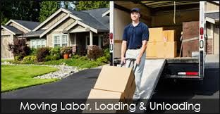 Unload and Loading Specialist