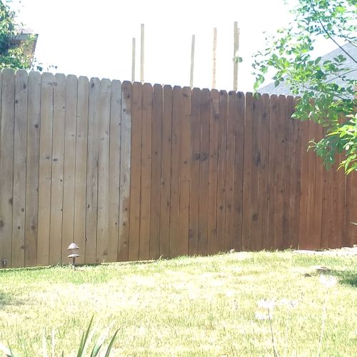 washing and re-staining  backyard fence after repa