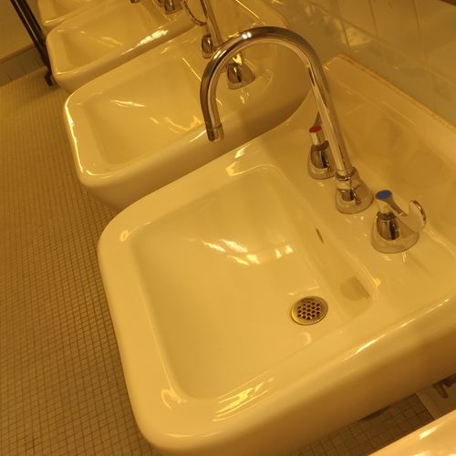 Rest room cleaning sinks