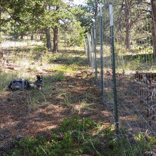 Fence around mountain property