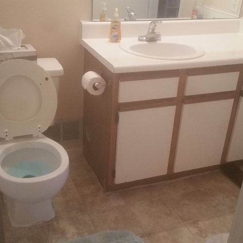 Toilet cleaned, mirror cleaned, floor cleaned by h