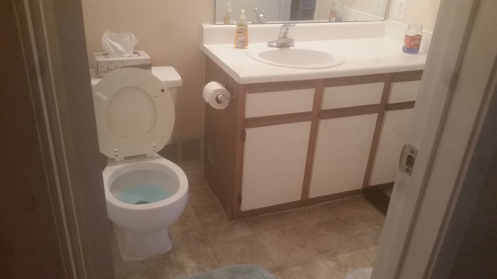 Toilet cleaned, mirror cleaned, floor cleaned by h